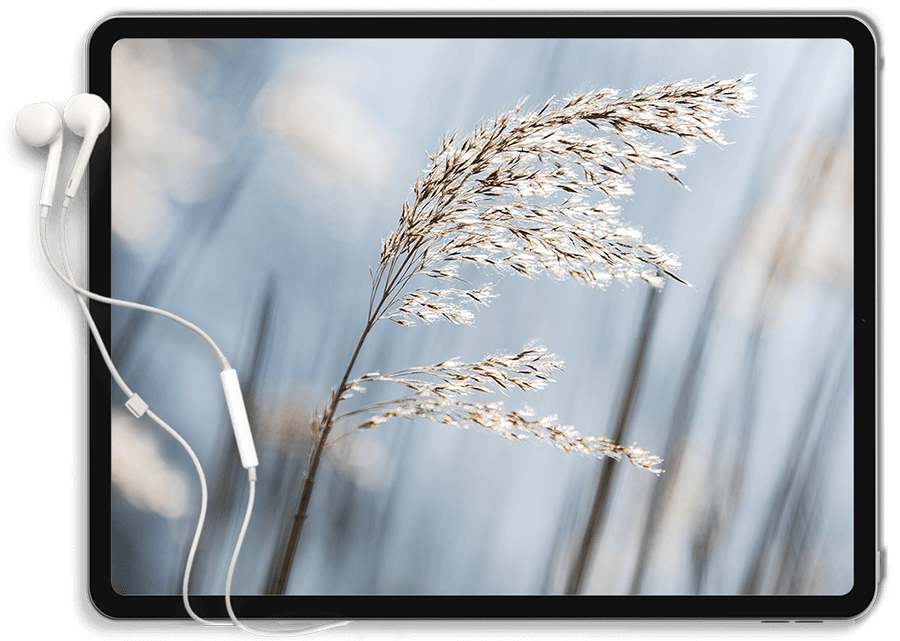 https://perennialtherapy.com/wp-content/uploads/2022/01/Tablet.png