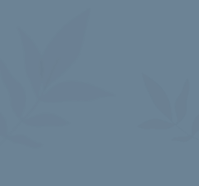 hero_contact_5 https://perennialtherapy.com/wp-content/uploads/2026/09/hero_contact_5-640x600.png